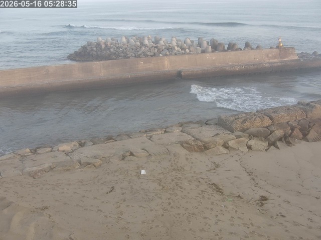 浜村川１2026/05/16 8:30:00