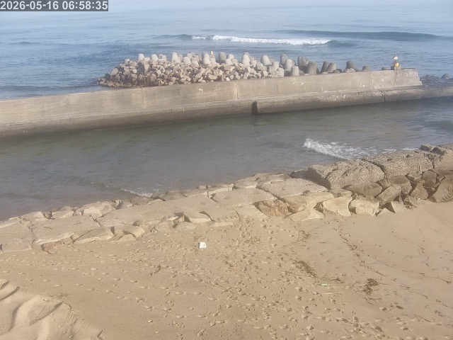 浜村川１2026/05/16 8:30:00