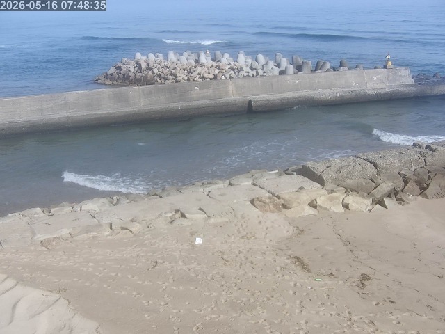 浜村川１2026/05/16 8:30:00