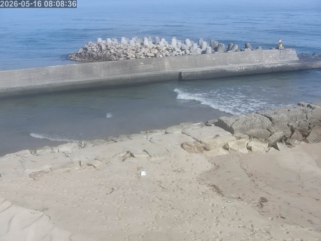 浜村川１2026/05/16 8:30:00