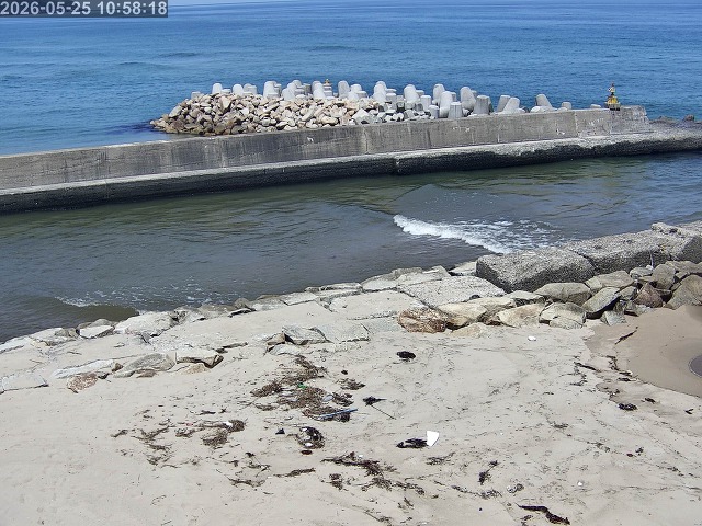 浜村川１2026/05/26 8:50:00