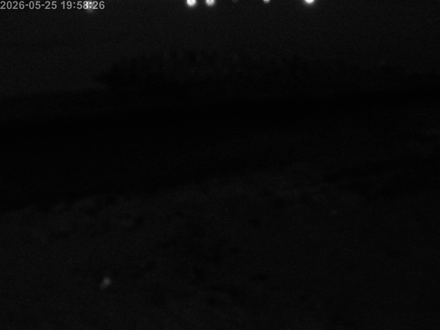 浜村川１2026/05/26 8:50:00