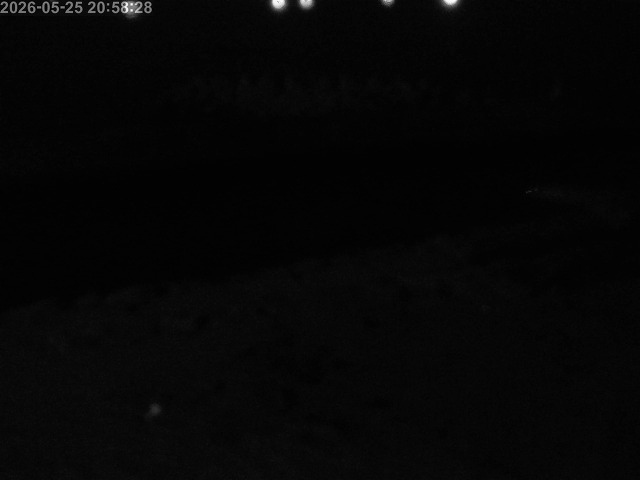 浜村川１2026/05/26 8:50:00