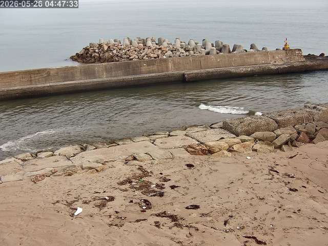 浜村川１2026/05/26 8:50:00