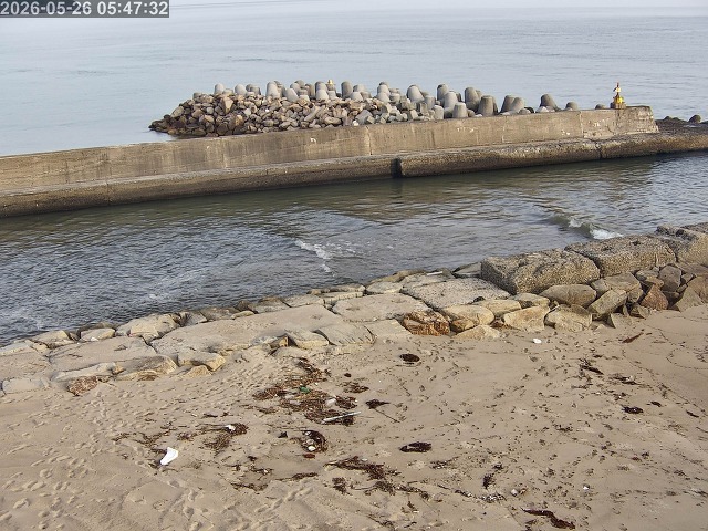 浜村川１2026/05/26 8:50:00