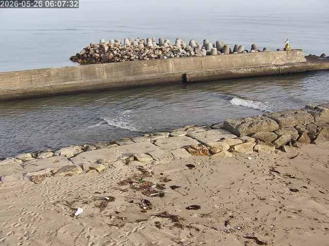 浜村川１2026/05/26 8:50:00
