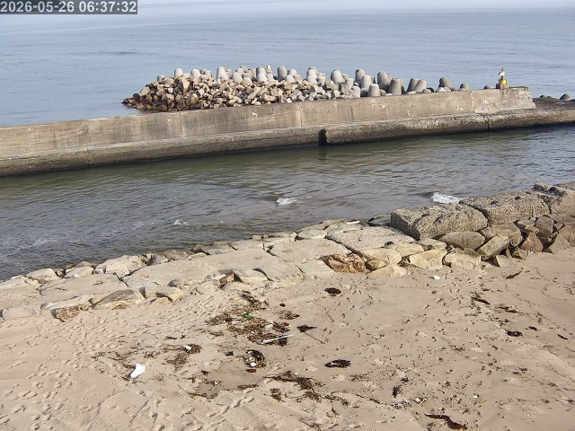 浜村川１2026/05/26 8:50:00