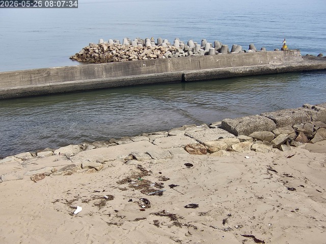 浜村川１2026/05/26 8:50:00
