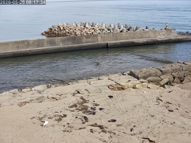 浜村川１2026/05/26 8:50:00