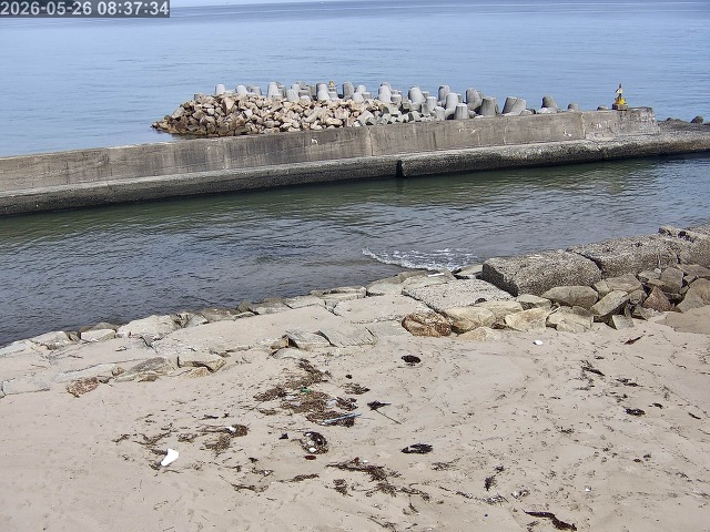 浜村川１2026/05/26 8:50:00