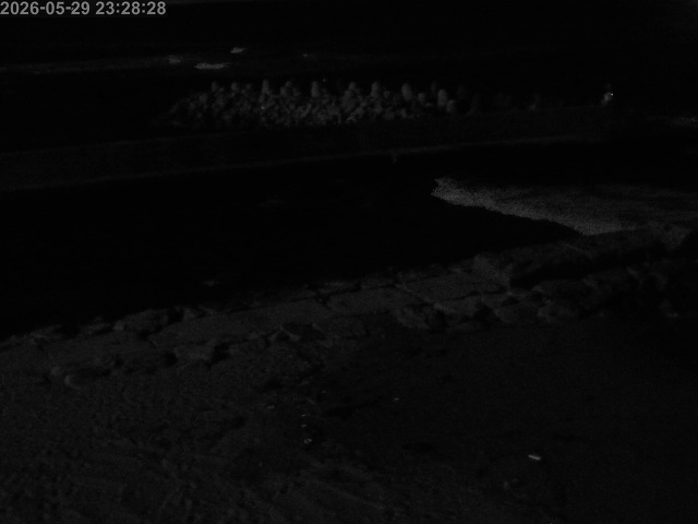 浜村川１2026/05/30 2:50:00