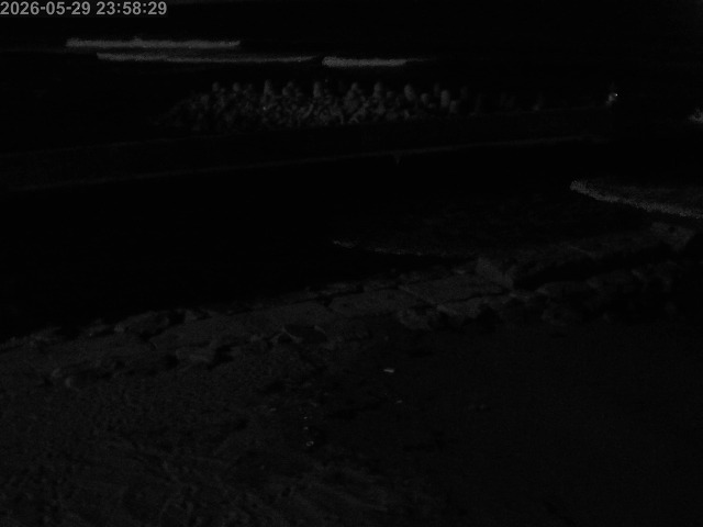浜村川１2026/05/30 2:50:00