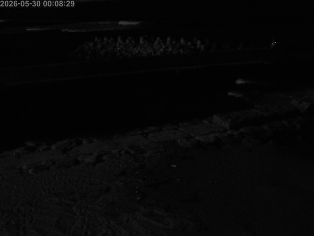 浜村川１2026/05/30 2:50:00