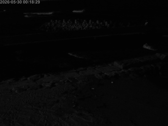 浜村川１2026/05/30 2:50:00