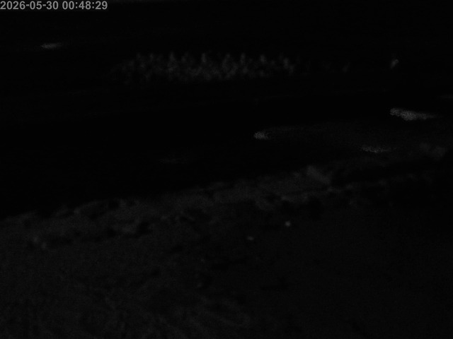 浜村川１2026/05/30 2:50:00