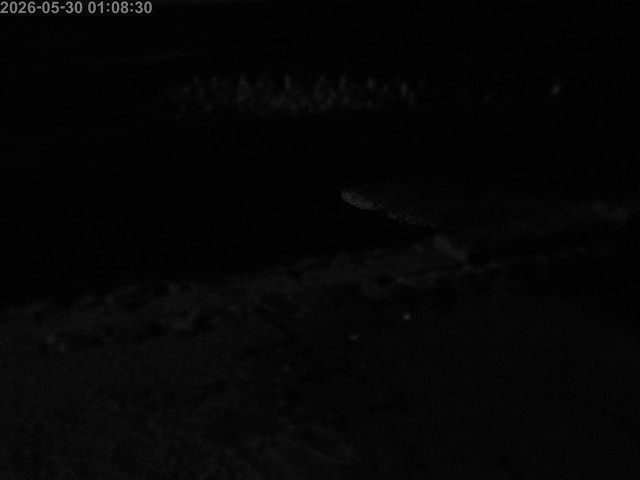 浜村川１2026/05/30 2:50:00