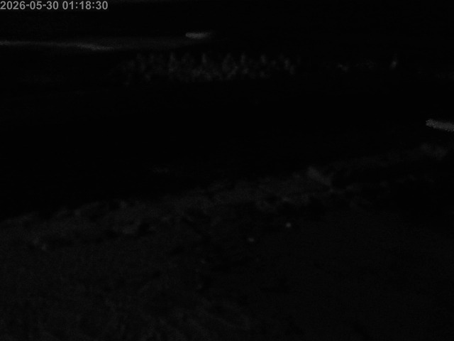 浜村川１2026/05/30 2:50:00
