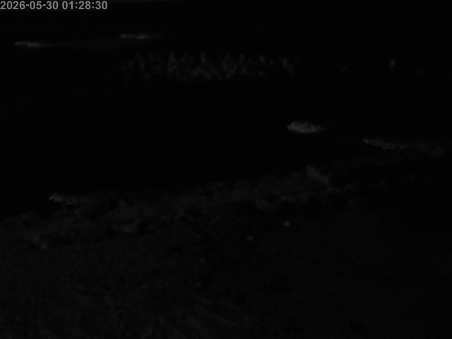 浜村川１2026/05/30 2:50:00