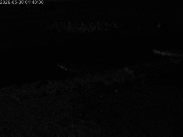浜村川１2026/05/30 2:50:00