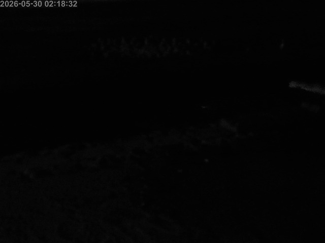 浜村川１2026/05/30 2:50:00