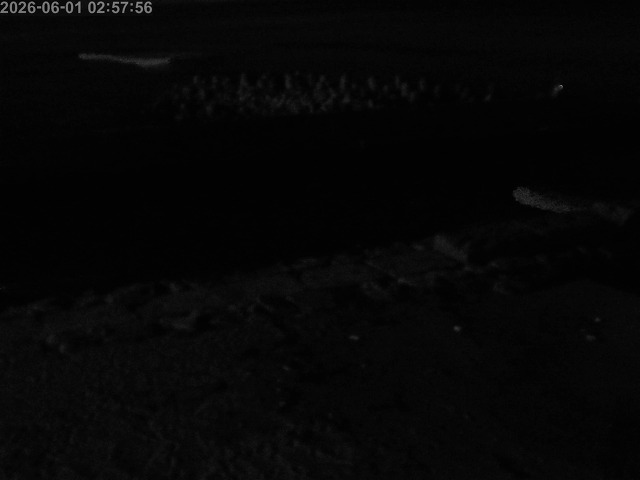 浜村川１2026/06/02 3:00:00