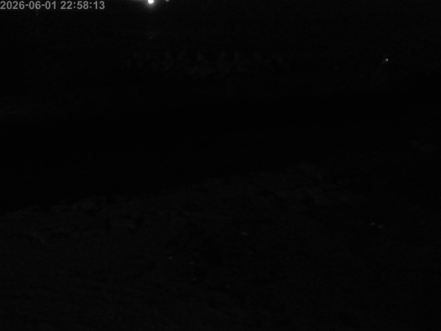 浜村川１2026/06/02 3:00:00