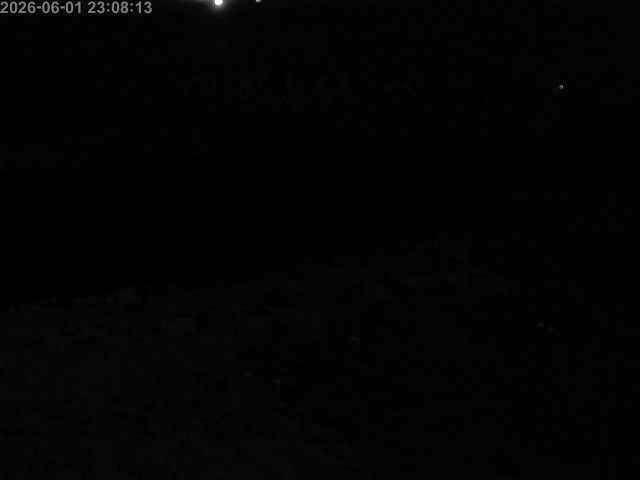 浜村川１2026/06/02 3:00:00