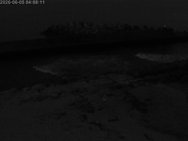 浜村川１2026/06/05 8:10:00