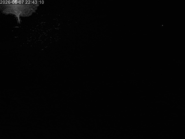 浜村川１2026/06/08 8:10:00