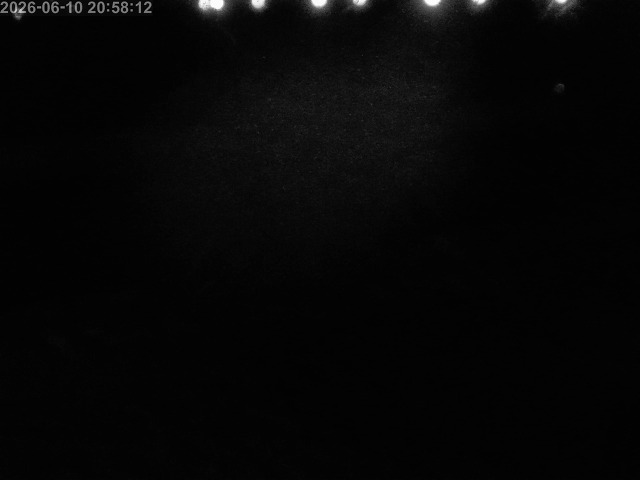 浜村川１2026/06/11 9:30:00