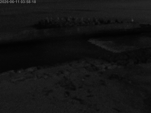 浜村川１2026/06/11 9:30:00