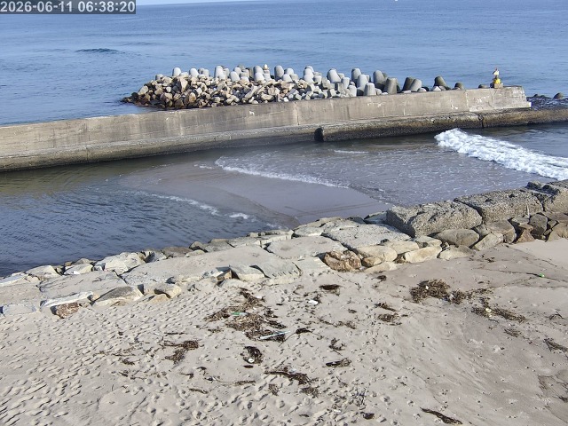 浜村川１2026/06/11 9:30:00