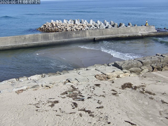 浜村川１2026/06/11 9:30:00