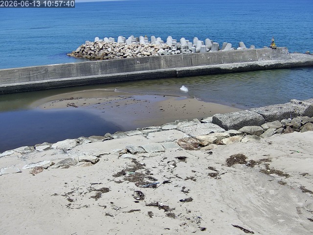 浜村川１2026/06/14 9:50:00