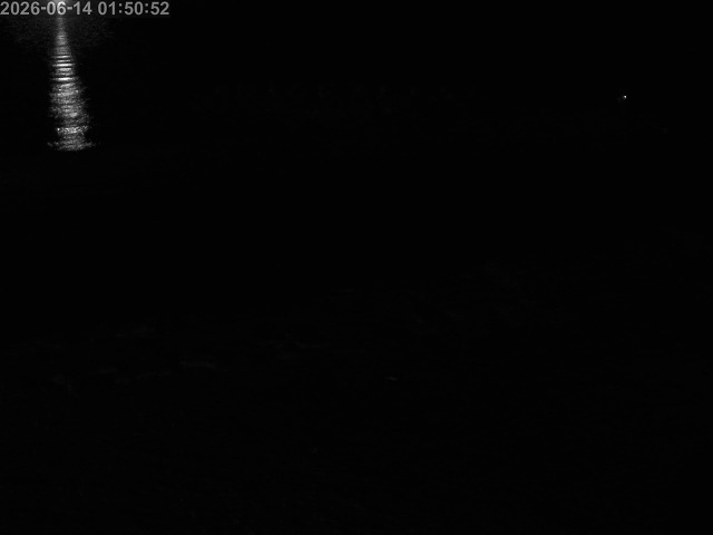 浜村川１2026/06/14 9:50:00