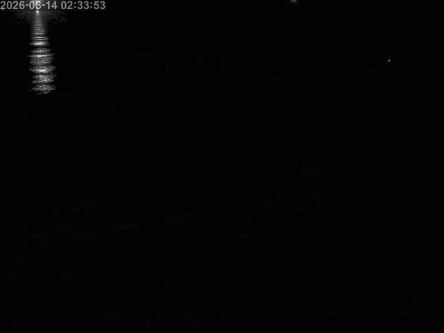 浜村川１2026/06/14 9:50:00
