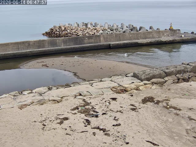 浜村川１2026/06/14 9:50:00