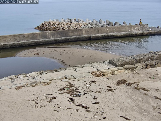 浜村川１2026/06/14 9:50:00
