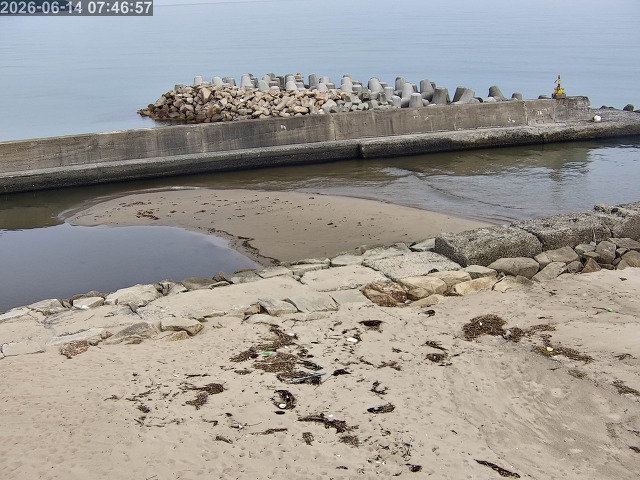 浜村川１2026/06/14 9:50:00