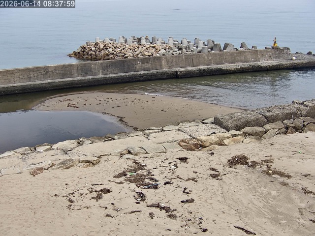 浜村川１2026/06/14 9:50:00