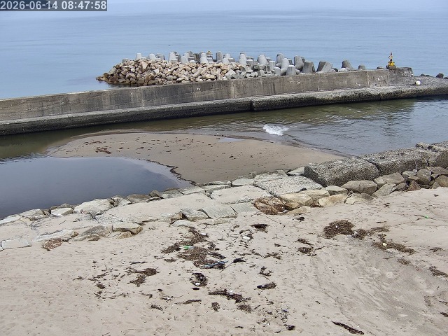 浜村川１2026/06/14 9:50:00