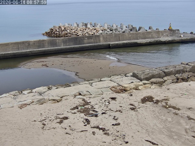 浜村川１2026/06/14 9:50:00