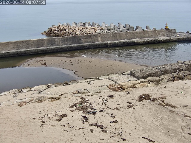 浜村川１2026/06/14 9:50:00