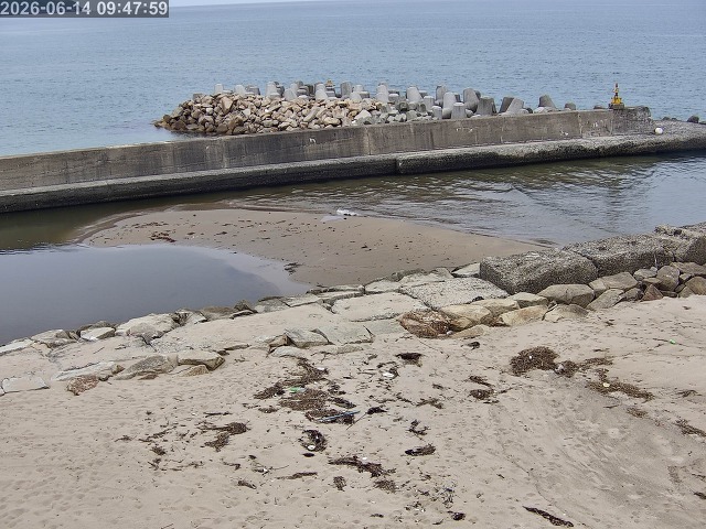 浜村川１2026/06/14 9:50:00