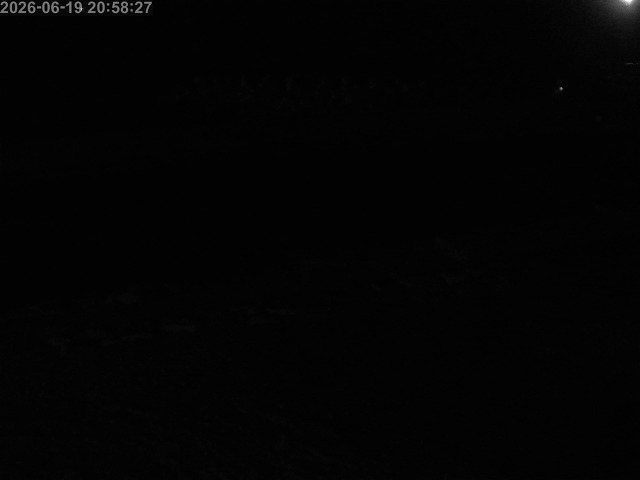 浜村川１2026/06/20 11:20:00