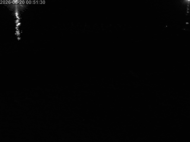 浜村川１2026/06/20 11:20:00