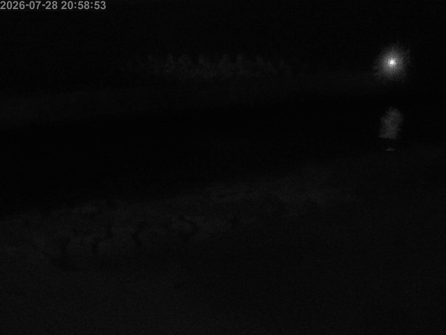 浜村川１2026/07/29 19:20:00
