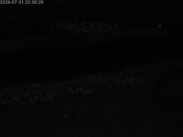 浜村川１2026/08/01 19:30:00