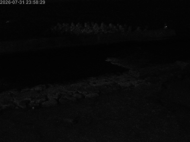浜村川１2026/08/01 19:30:00