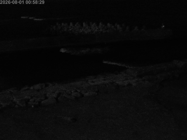 浜村川１2026/08/01 19:30:00